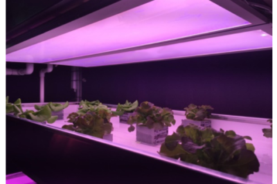 Light conversion technology: the next wave of destructive innovation of LED